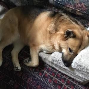 Meet your Posher, Barbara